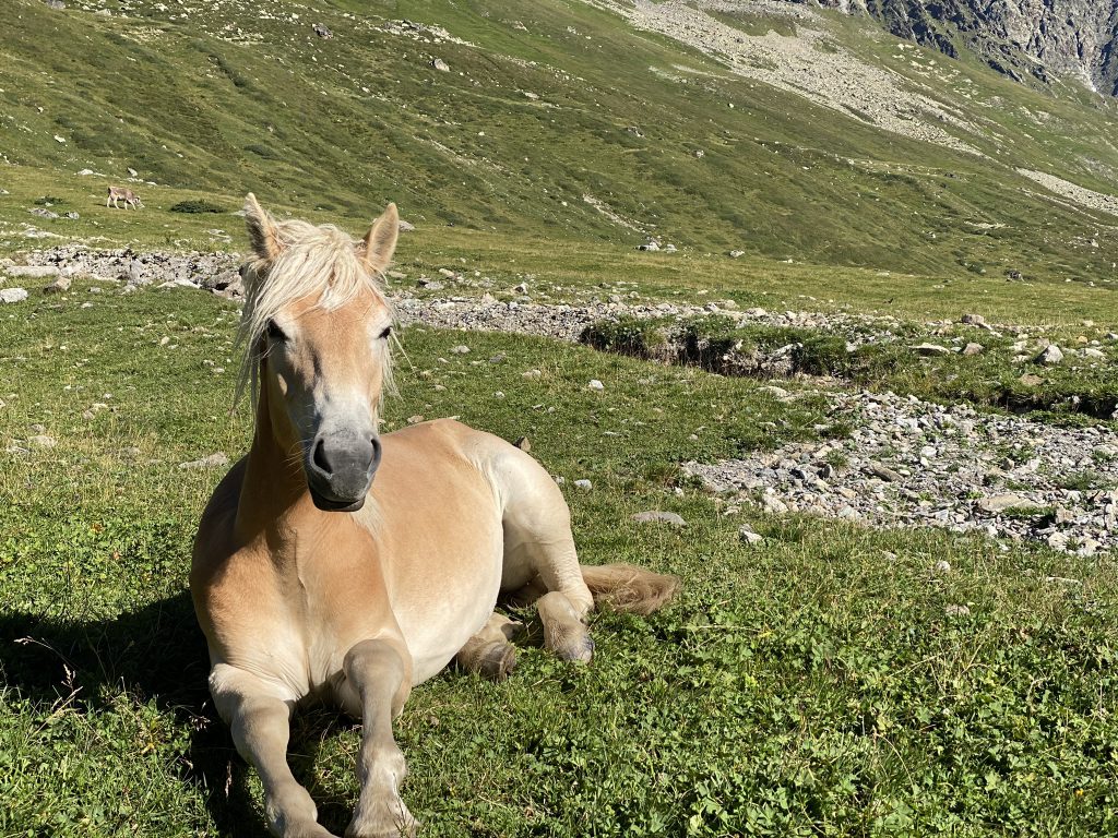 An- und Abreise - Transalp selbst planen